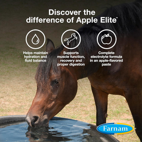 Apple Elite Electrolyte Paste Horse Supplement (60 ml) - 0