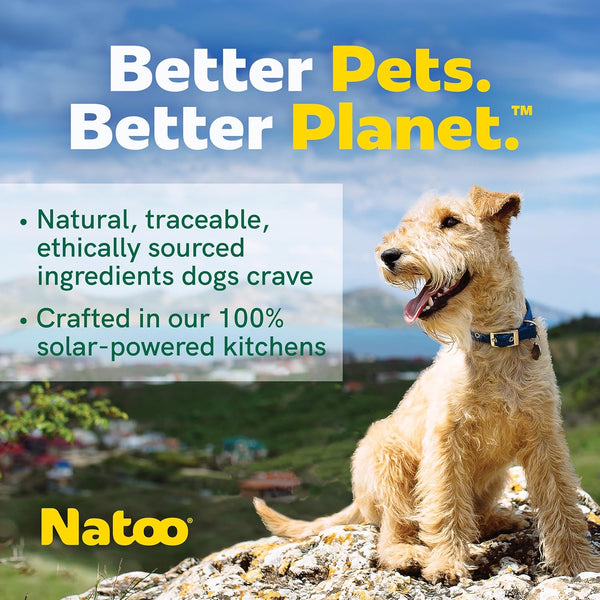 Natoo Meal Topper or Treat Chicken, Sweet Potato Broccoli in Broth Dog Food