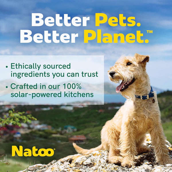 Natoo Crunchy Biscuits Big Bite Oats, Banana, & Honey Flavor for Large Dog