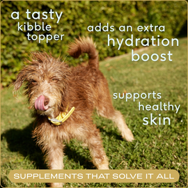 Native Pet Chicken Bone Broth Food Topper For Dogs - 0