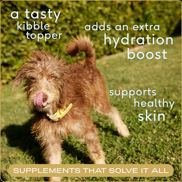 Native Pet Chicken Bone Broth Food Topper For Cats & Dogs