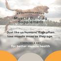 MYOS Canine Muscle Formula Dog Supplement (6.35 oz)