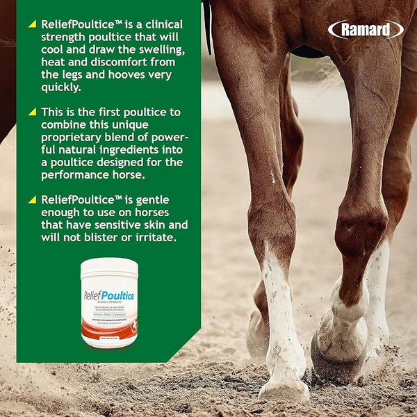 Ramard Relief Poultice Clinical Strength For Horses (5 lb)