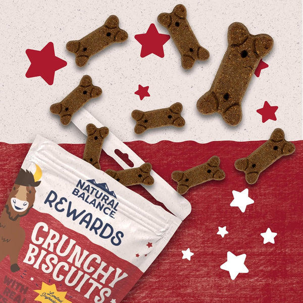 Natural Balance Rewards Crunchy Biscuits with Real Bison Dog Treats