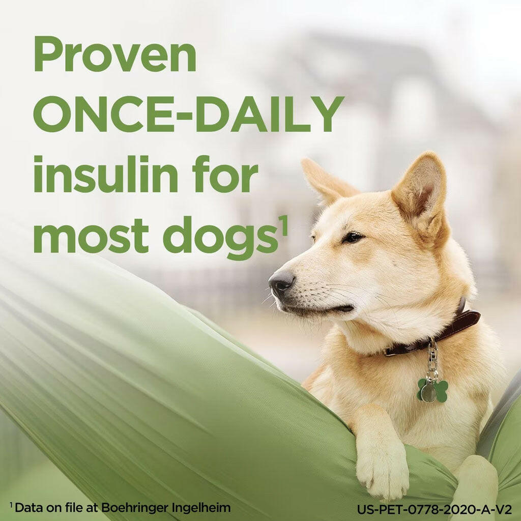 prozinc proven once daily for dogs