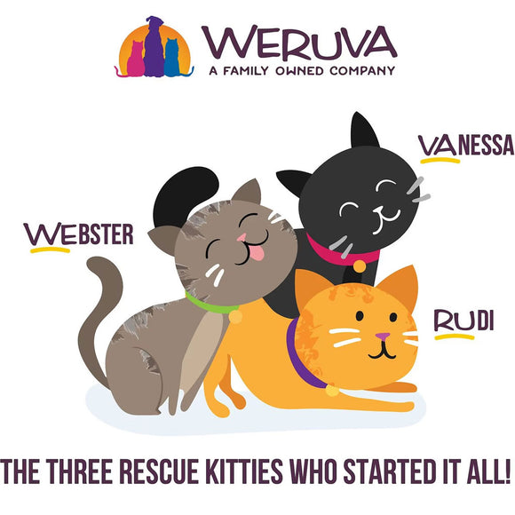 Three cartoon cats with names Webster, Vanessa, and Rudi, and Weruva logo above.
