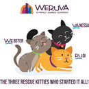 Illustration of three cartoon cats with names Webster, Vanessa, and Rudi, and Weruva logo above.