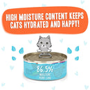 Weruva BFF Gravy Chicken & Salmon Crazy 4 U! Dinner in Gravy Cat Food