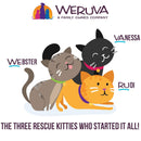 Weruva BFF Gravy Chicken & Salmon Crazy 4 U! Dinner in Gravy Cat Food