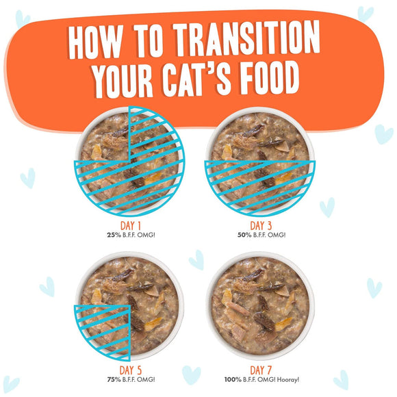 Weruva BFF Gravy Chicken & Salmon Crazy 4 U! Dinner in Gravy Cat Food