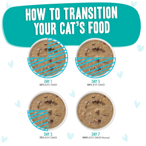 Weruva BFF Gravy Chicken & Turkey QT Patootie! Dinner in Gravy Cat Food