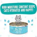 Weruva BFF Gravy Chicken & Turkey QT Patootie! Dinner in Gravy Cat Food