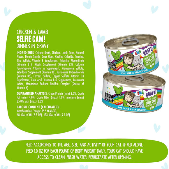 Weruva BFF Gravy Chicken & Lamb Selfie Cam! Dinner in Gravy Cat Food