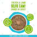 Weruva BFF Gravy Chicken & Lamb Selfie Cam! Dinner in Gravy Cat Food