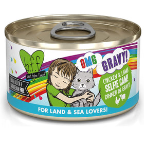 Weruva BFF Gravy Chicken & Lamb Selfie Cam! Dinner in Gravy Cat Food