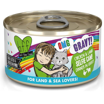 Weruva BFF Gravy Chicken & Lamb Selfie Cam! Dinner in Gravy Cat Food
