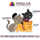 Weruva BFF Gravy Duck & Tuna Lots-O-Luck! Dinner in Gravy Cat Food