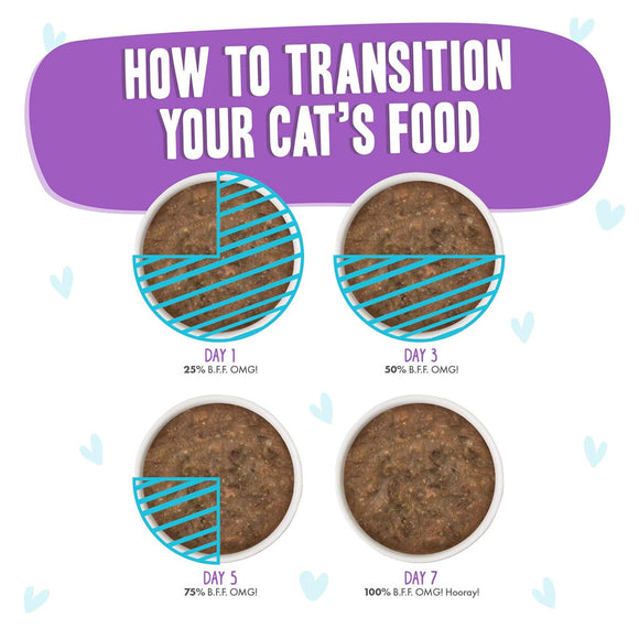 Weruva BFF Gravy Beef & Salmon Best Day Eva! Dinner in Gravy Cat Food