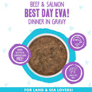 Weruva BFF Gravy Beef & Salmon Best Day Eva! Dinner in Gravy Cat Food