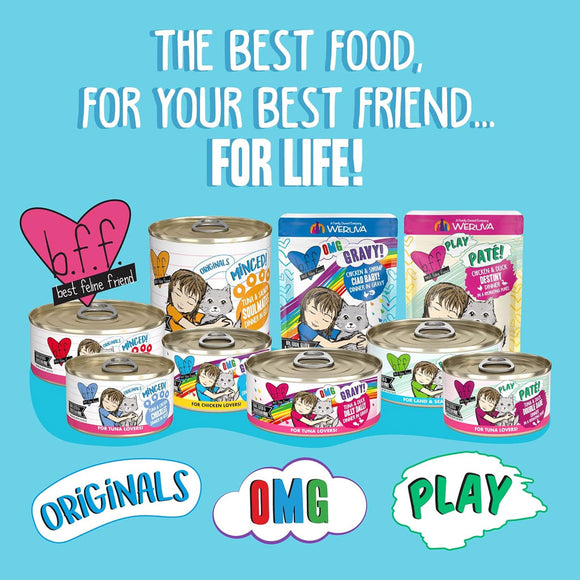 Weruva BFF Gravy Beef & Salmon Best Day Eva! Dinner in Gravy Cat Food