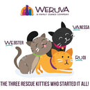 Weruva BFF Pate Chicken & Turkey Topsy Turvy Wet Cat Food