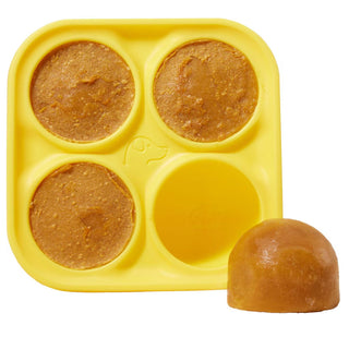 Woof PupsicleTreat Tray Mold Treat Dispenser Dog Toy