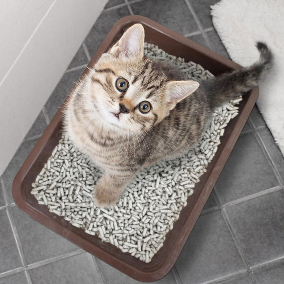 World's Best Cat Litter Breeder Celect, 14 lbs