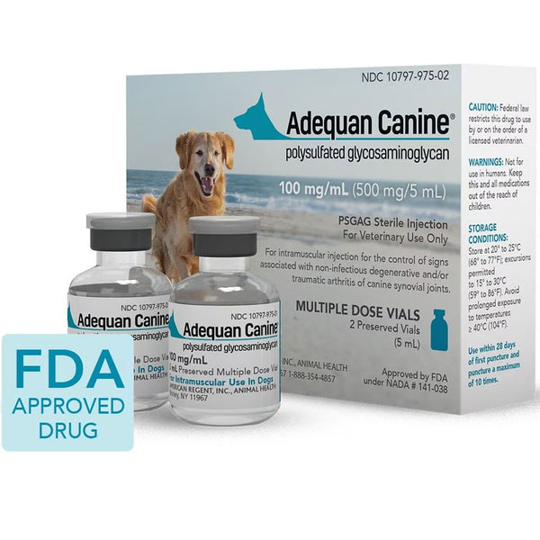 adequan injection for dogs