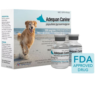 adequan injection dog