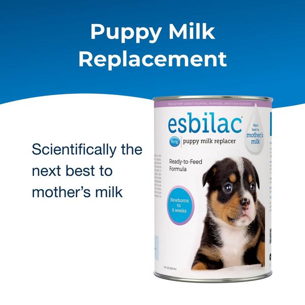 esbilac formula for puppies in a liquid