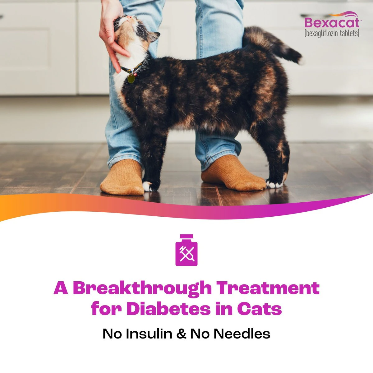 bexagliflozin tablets are a breakthrough treatment for diabetes in cats