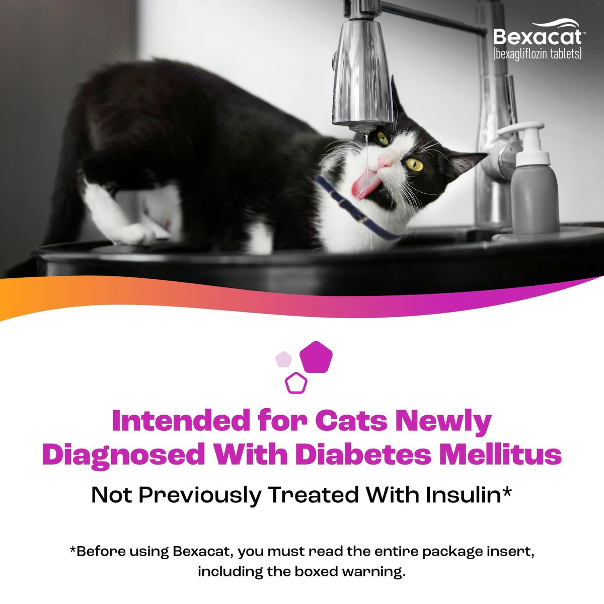 bexacat oral tablets are intended for cats newly diagnosed with diabetes mellitus