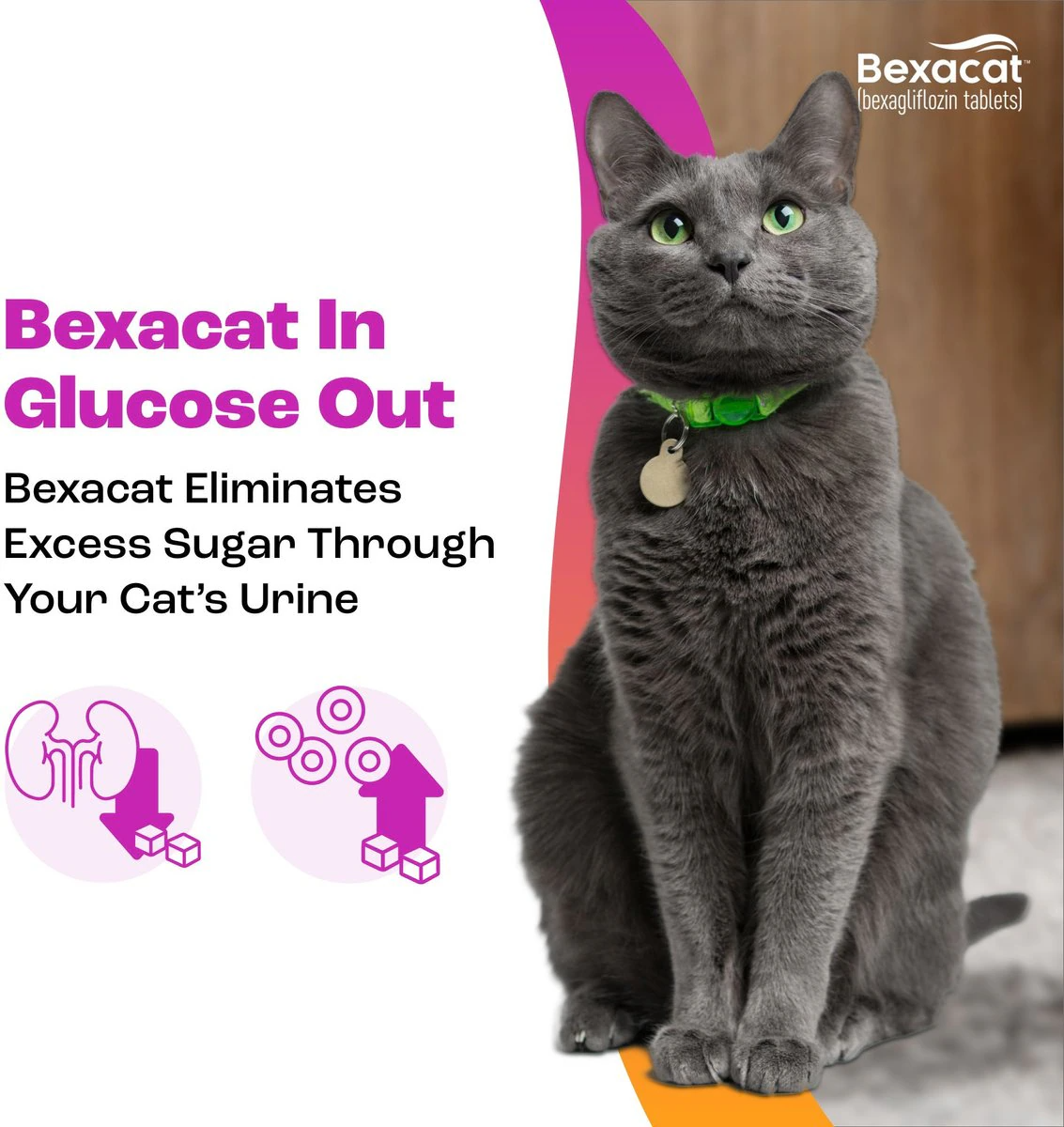 bexacat eliminates excess sugar through your cat's urine