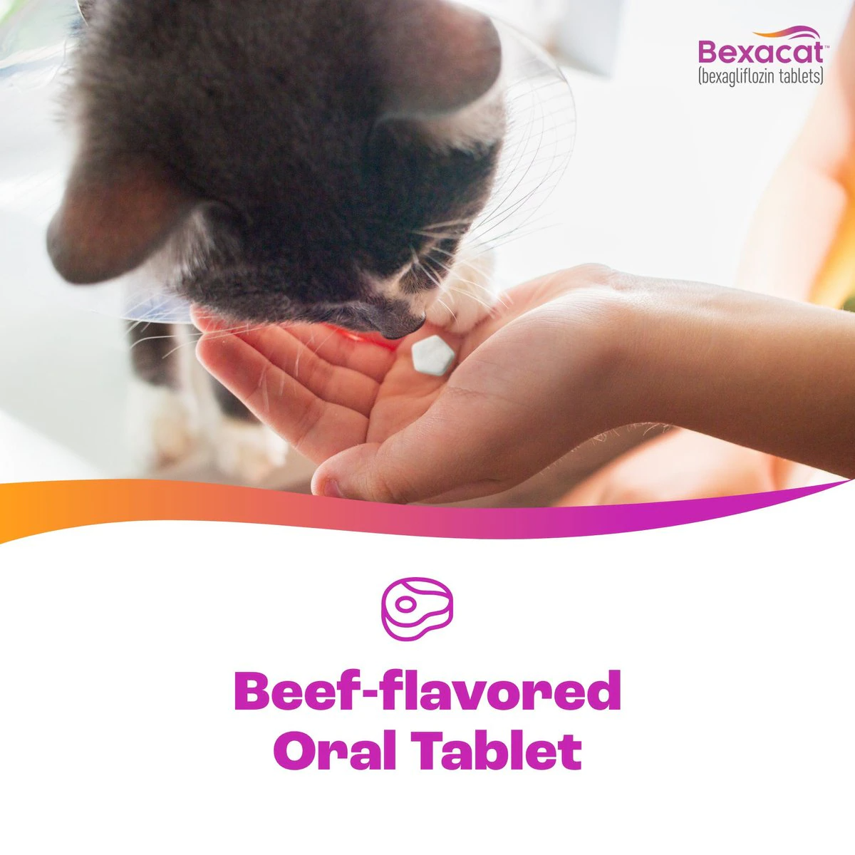 bexagliflozin tablets are beef-flavored