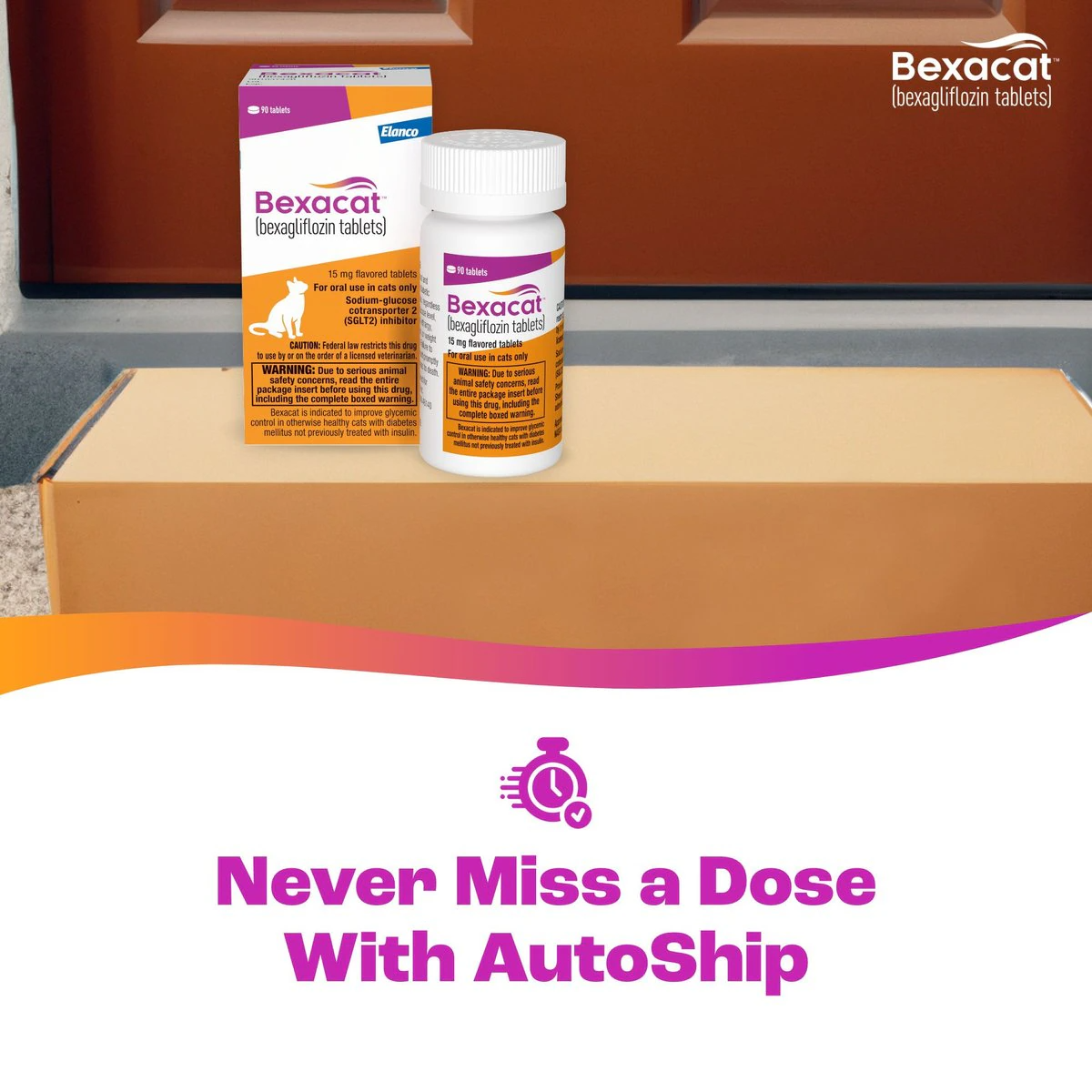 Never miss a dose of these diabetes pills for cats by going on autoship