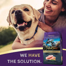 Zignature Catfish Formula Dry Dog Food