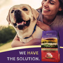Zignature Lamb Formula Dry Dog Food