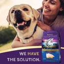 Zignature Trout & Salmon Formula Dry Dog Food