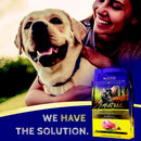 Zignature Turkey Formula Dry Dog Food