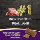 Zignature Lamb Formula Ziggy Bars with Pumpkin Dog Treats