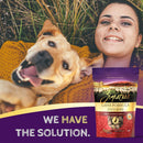 Zignature Lamb Formula Ziggy Bars with Pumpkin Dog Treats