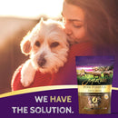 Zignature Pork Formula Ziggy Bars with Pumpkin Dog Treats