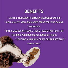 Zignature Salmon Formula Ziggy Bars with Pumpkin Dog Treats