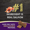 Zignature Salmon Formula Ziggy Bars with Pumpkin Dog Treats