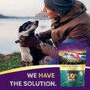 Zignature Salmon Formula Ziggy Bars with Pumpkin Dog Treats