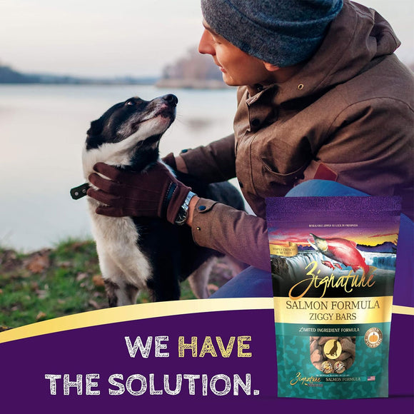 Zignature Salmon Formula Ziggy Bars with Pumpkin Dog Treats