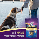 Zignature Trout Formula Ziggy Bars with Pumpkin Dog Treats