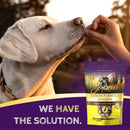 Zignature Turkey Formula Ziggy Bars with Pumpkin Dog Treats