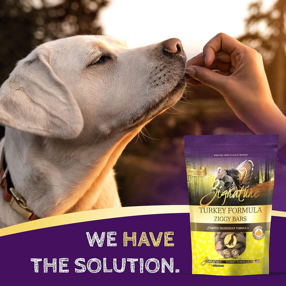 Zignature Turkey Formula Ziggy Bars with Pumpkin Dog Treats