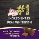 Zignature Whitefish Formula Ziggy Bars with Pumpkin Dog Treats